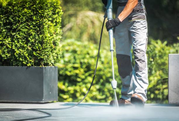 Best Graffiti Removal  in Wescosville, PA